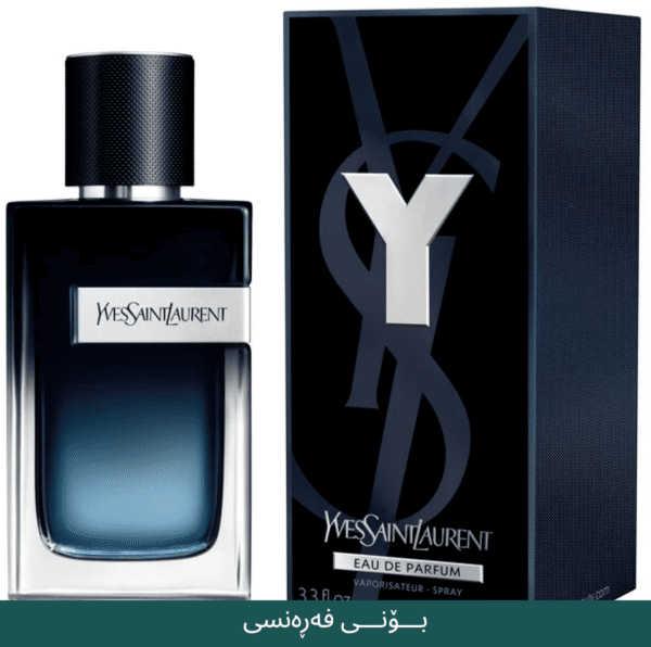 ysl men france