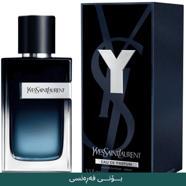 ysl men france